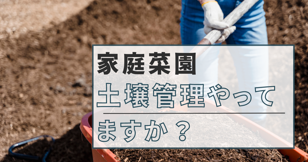 家庭菜園における土壌管理