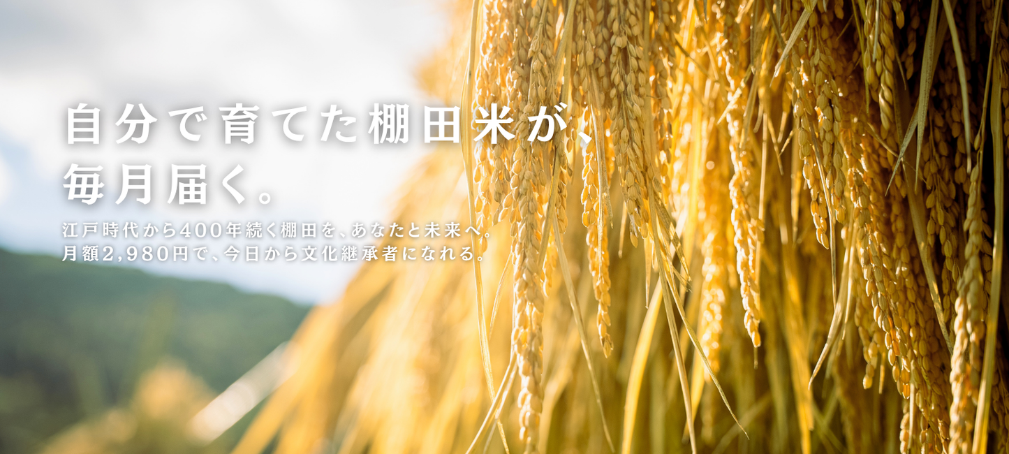 MIRAI s TERRACE