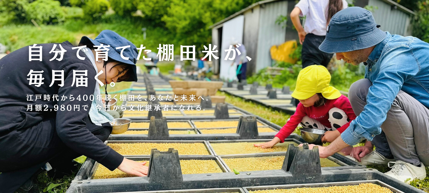 MIRAI s TERRACE