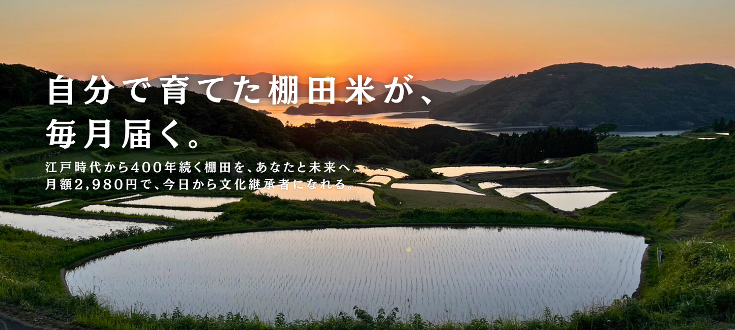 MIRAI s TERRACE